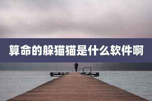 算命的躲猫猫是什么软件啊