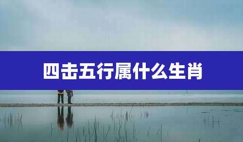 四击五行属什么生肖