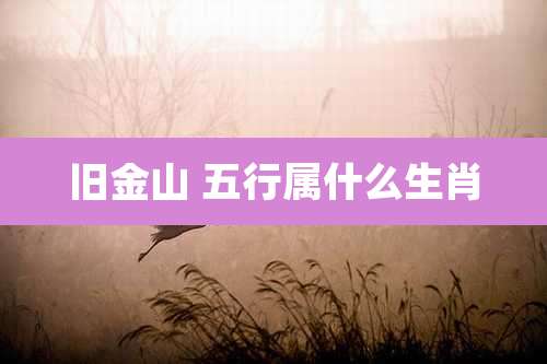 旧金山 五行属什么生肖