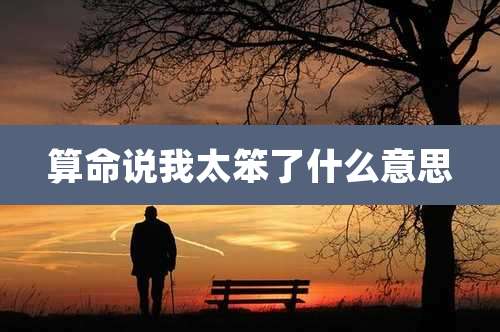 算命说我太笨了什么意思