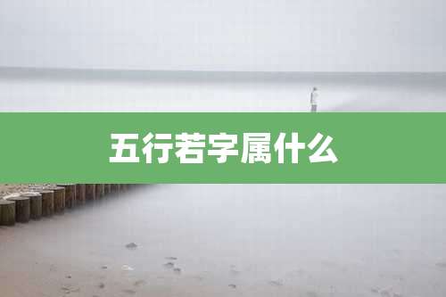 五行若字属什么