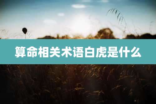 算命相关术语白虎是什么