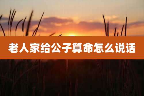 老人家给公子算命怎么说话