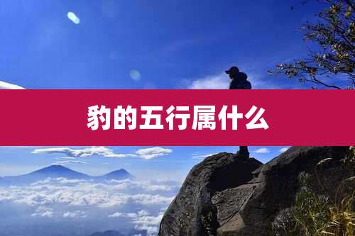 豹的五行属什么