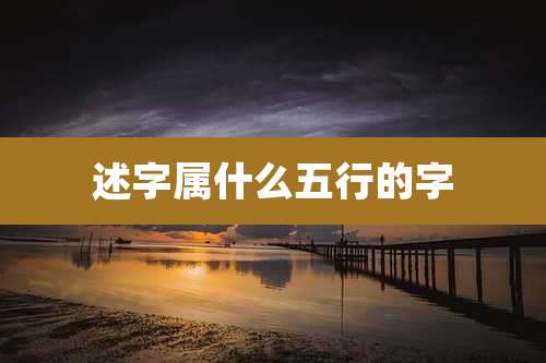 述字属什么五行的字