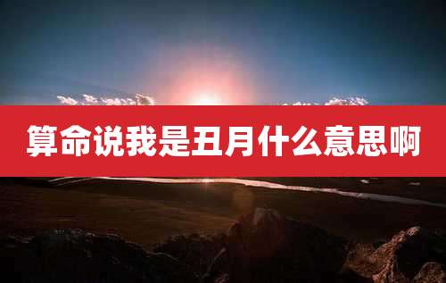 算命说我是丑月什么意思啊