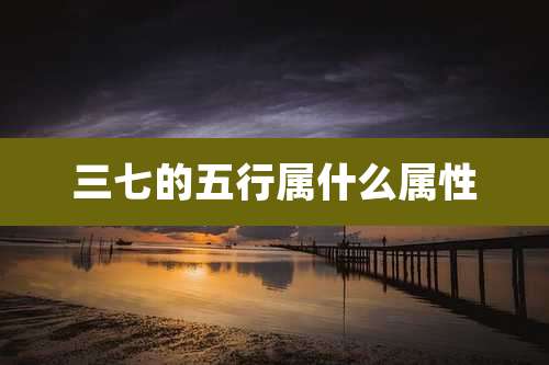 三七的五行属什么属性