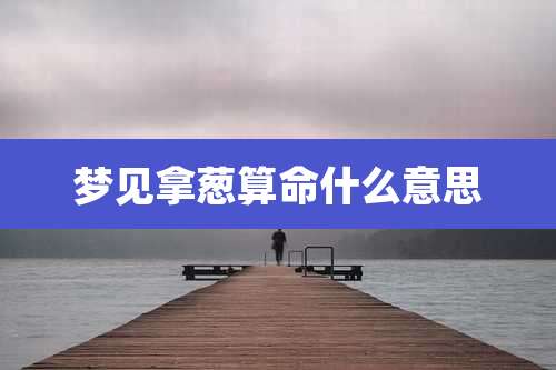 梦见拿葱算命什么意思