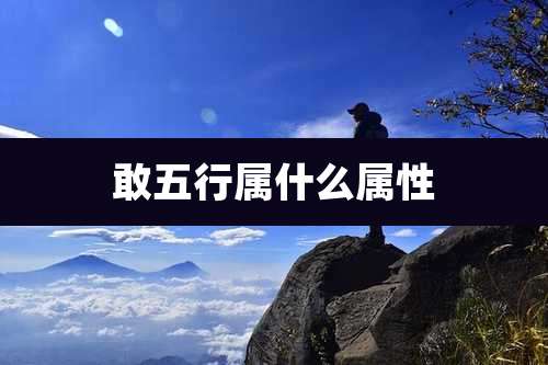 敢五行属什么属性