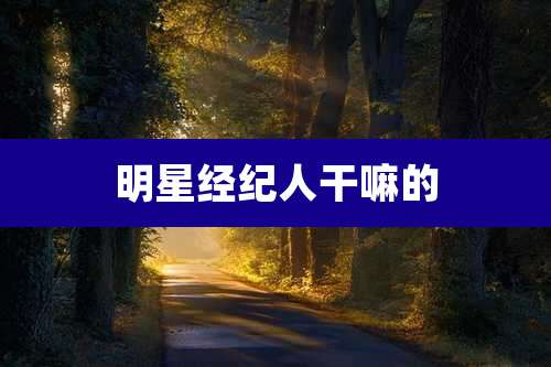 明星经纪人干嘛的