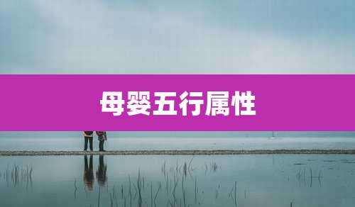 母婴五行属性