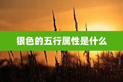 银色的五行属性是什么