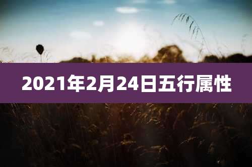 2021年2月24日五行属性