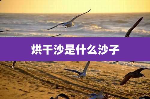 烘干沙是什么沙子