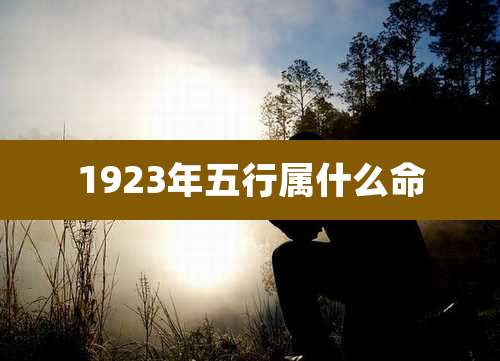 1923年五行属什么命