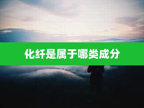 化纤是属于哪类成分