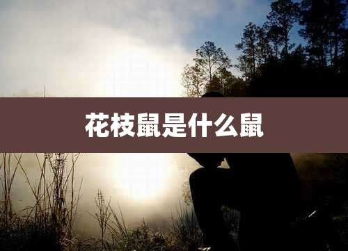 花枝鼠是什么鼠