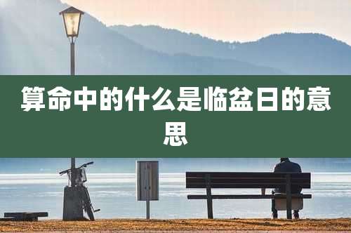 算命中的什么是临盆日的意思