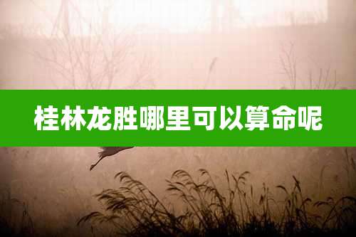 桂林龙胜哪里可以算命呢