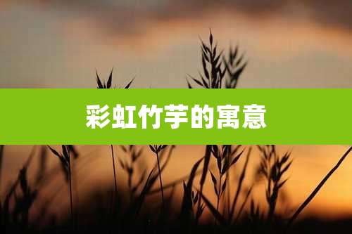 彩虹竹芋的寓意