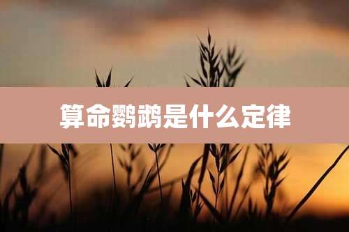 算命鹦鹉是什么定律