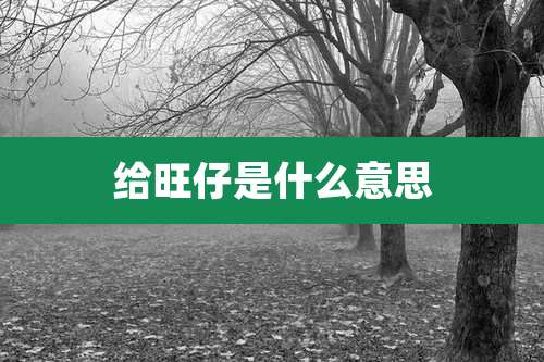 给旺仔是什么意思