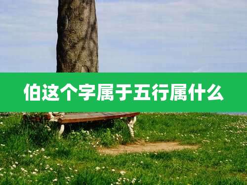 伯这个字属于五行属什么