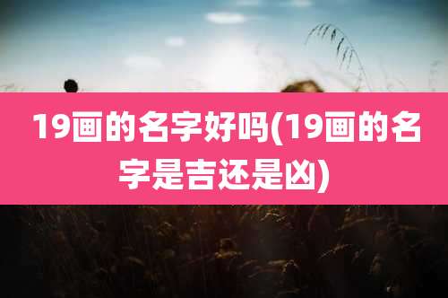 19画的名字好吗(19画的名字是吉还是凶)