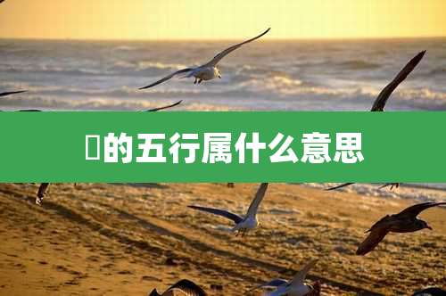 疜的五行属什么意思