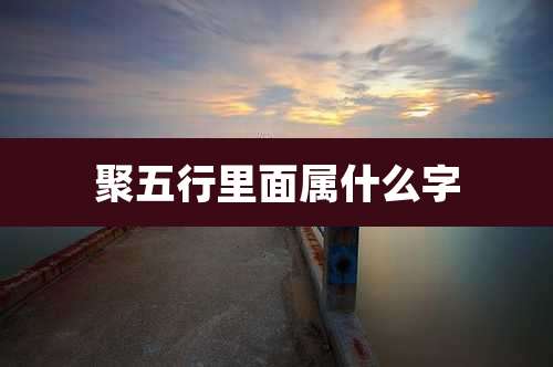 聚五行里面属什么字