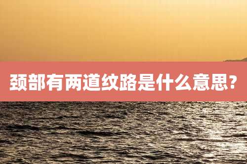 颈部有两道纹路是什么意思?