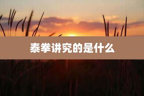 泰拳讲究的是什么