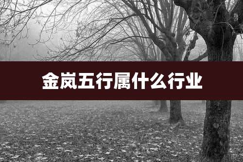 金岚五行属什么行业