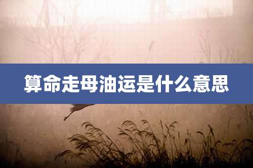 算命走母油运是什么意思