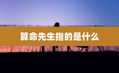 算命先生指的是什么