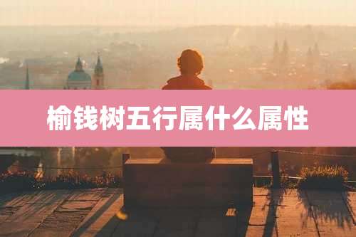 榆钱树五行属什么属性