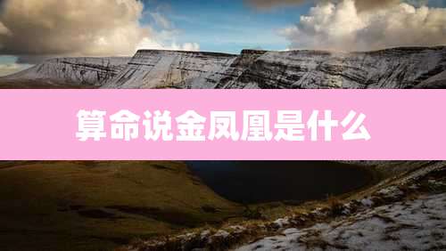 算命说金凤凰是什么