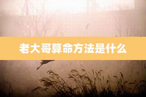 老大哥算命方法是什么