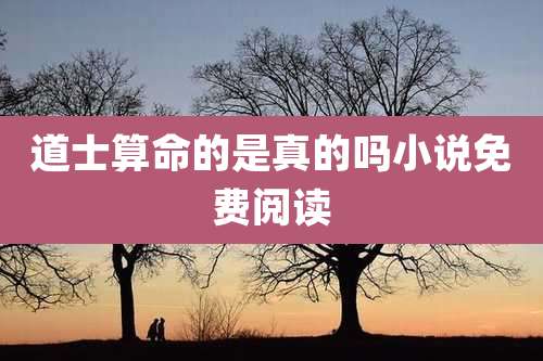 道士算命的是真的吗小说免费阅读