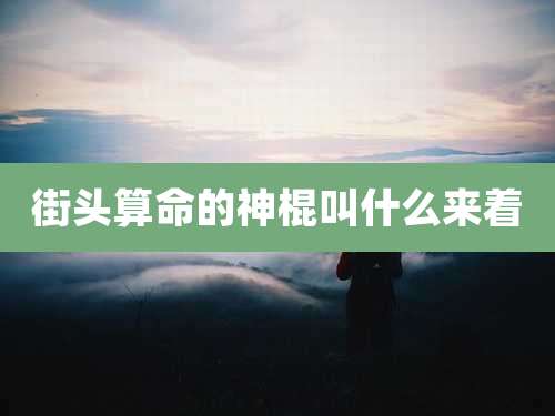 街头算命的神棍叫什么来着