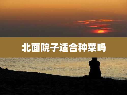 北面院子适合种菜吗