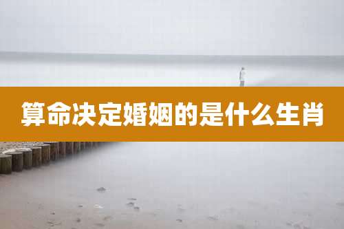 算命决定婚姻的是什么生肖