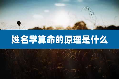姓名学算命的原理是什么