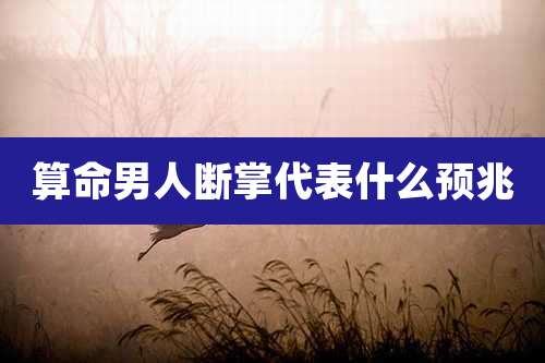 算命男人断掌代表什么预兆