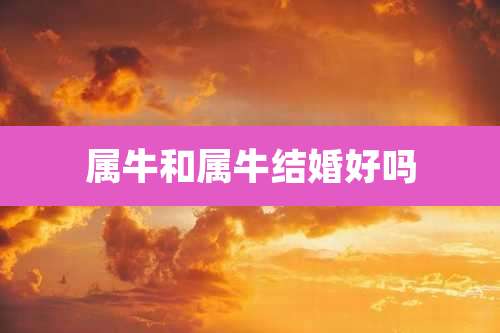 属牛和属牛结婚好吗