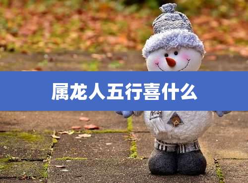 属龙人五行喜什么