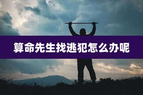 算命先生找逃犯怎么办呢