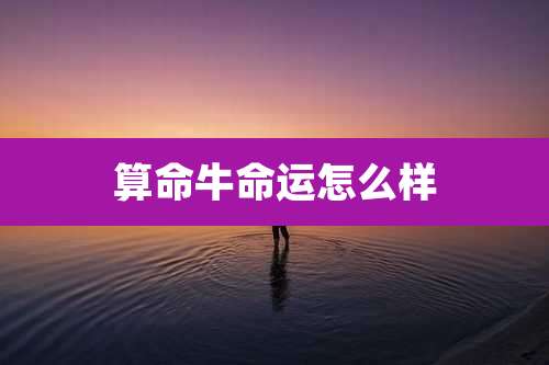 算命牛命运怎么样
