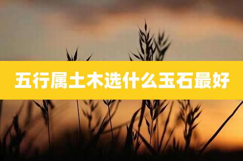 五行属土木选什么玉石最好