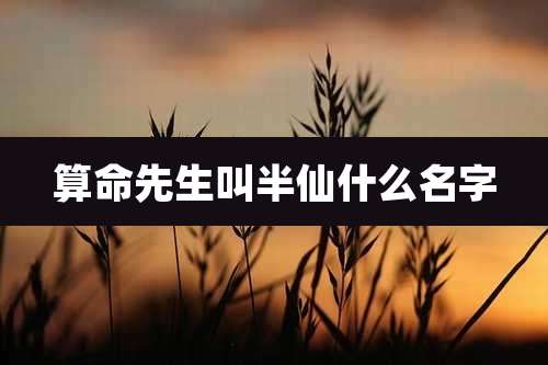 算命先生叫半仙什么名字